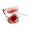 Dental mirror for photos, steel
